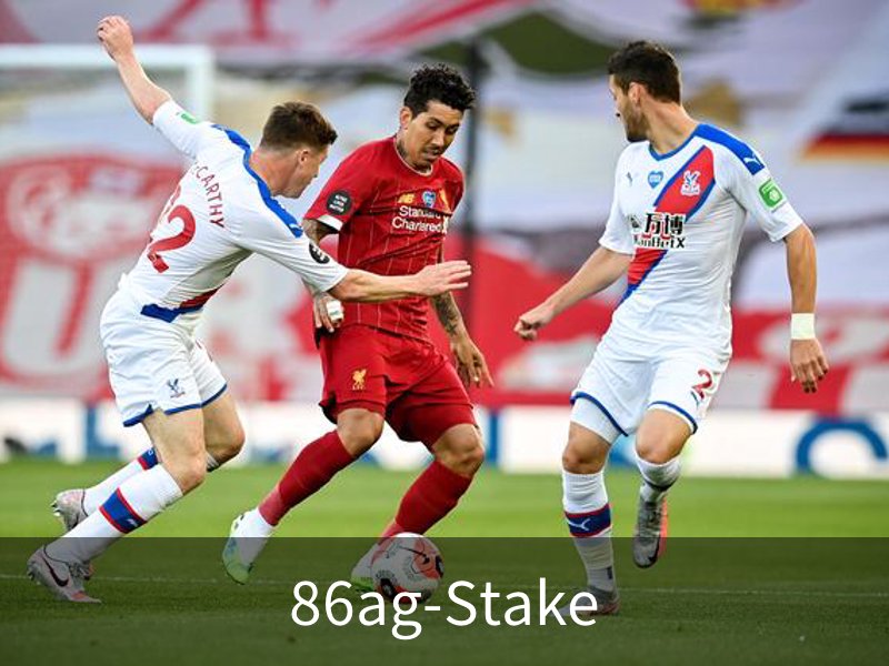 86ag-Stake介绍